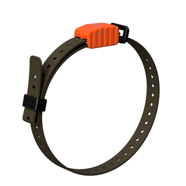 3/4" Replacement E-Collar Strap-Sport Dog