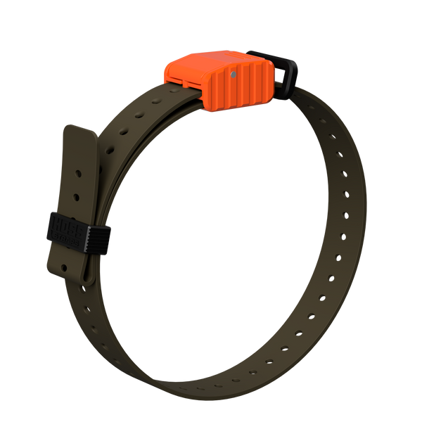 1" Replacement E-Collar Strap - Dogtra