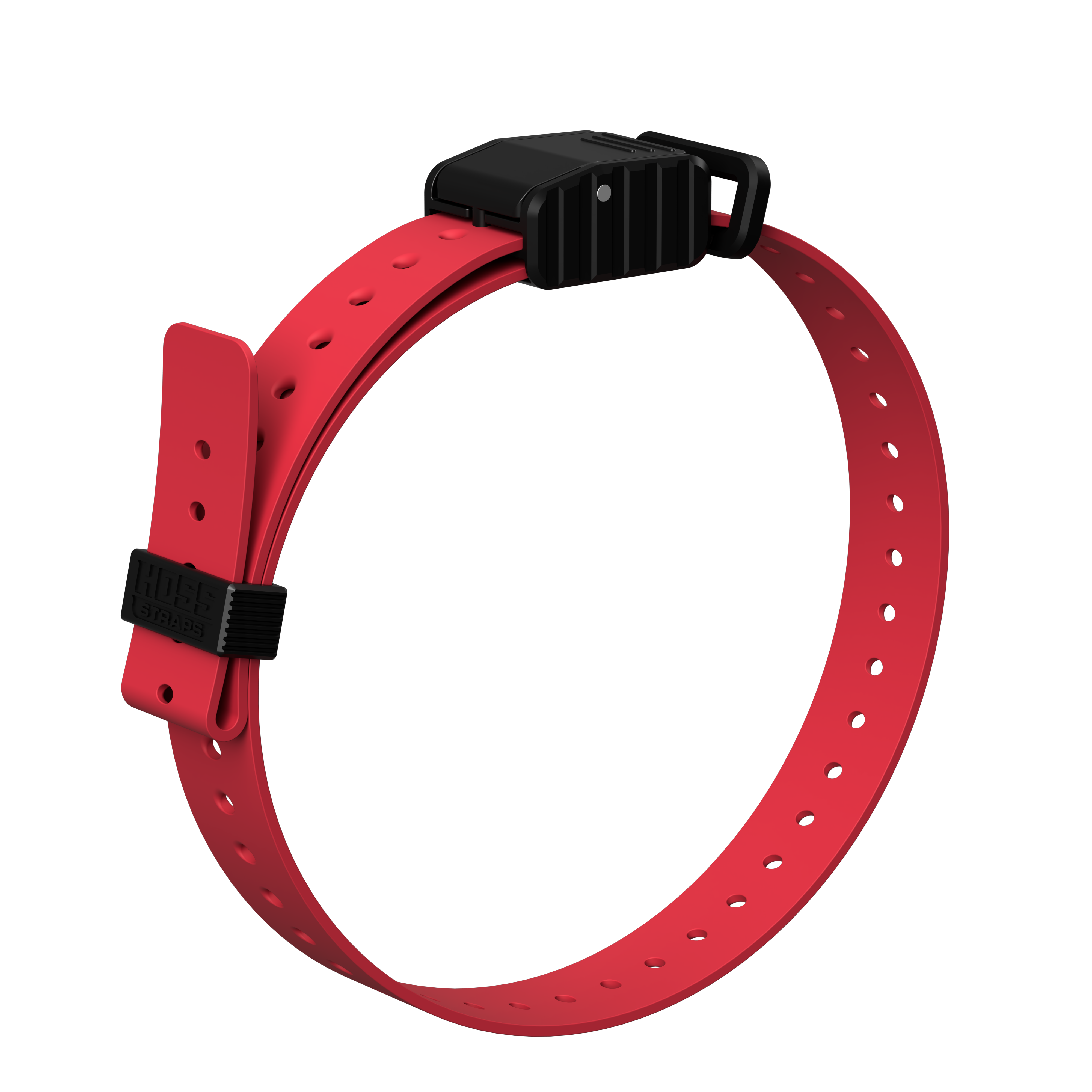 1" Replacement E-Collar Strap - Dogtra
