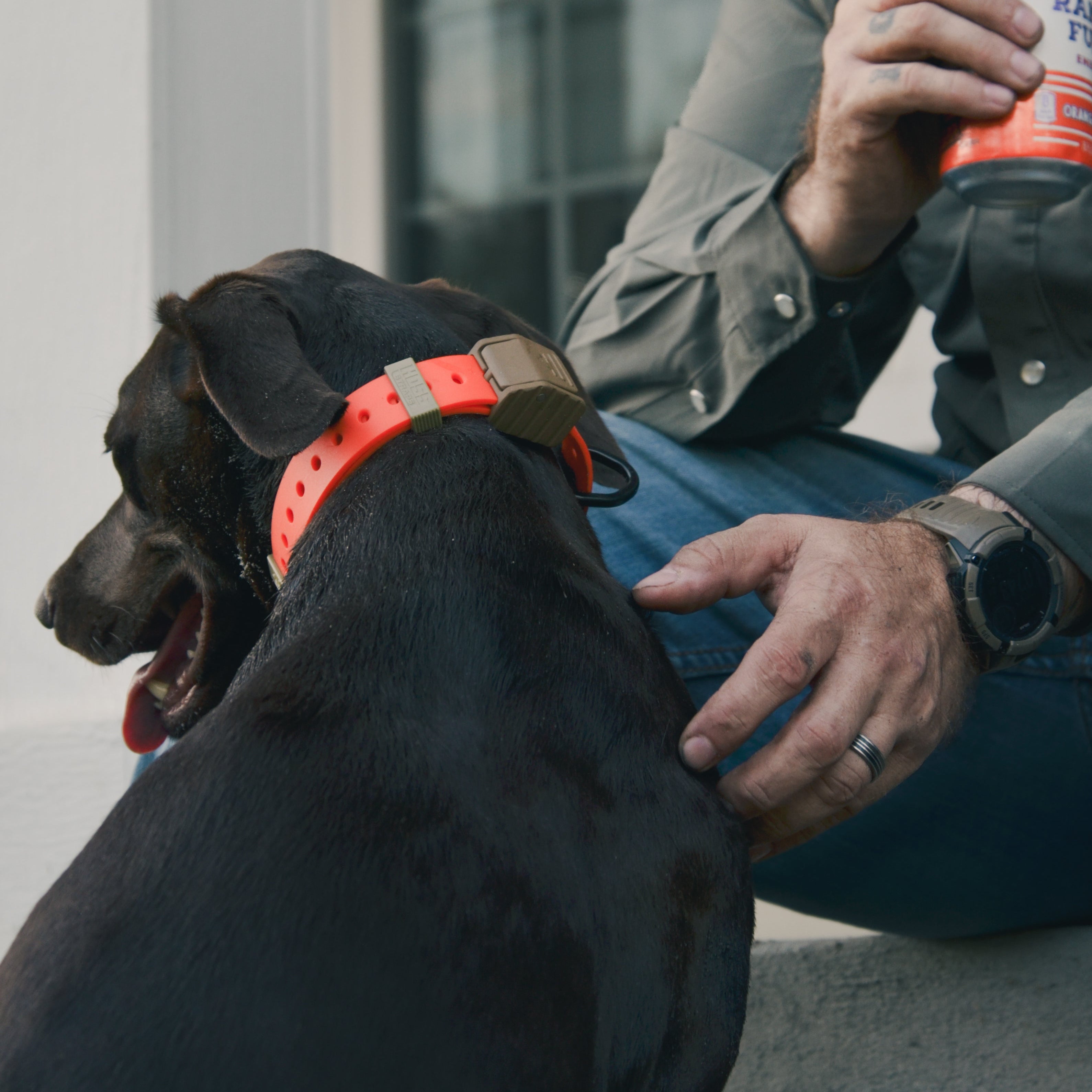 PRO SERIES FIELD COLLAR - Garmin