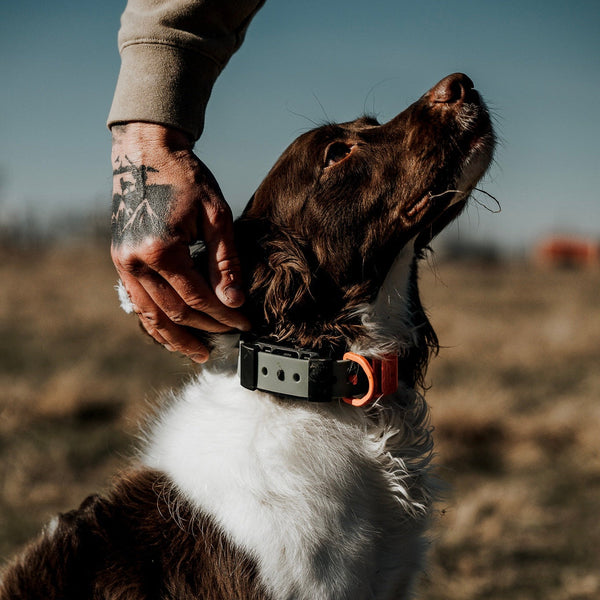Training Collar Setup - Garmin