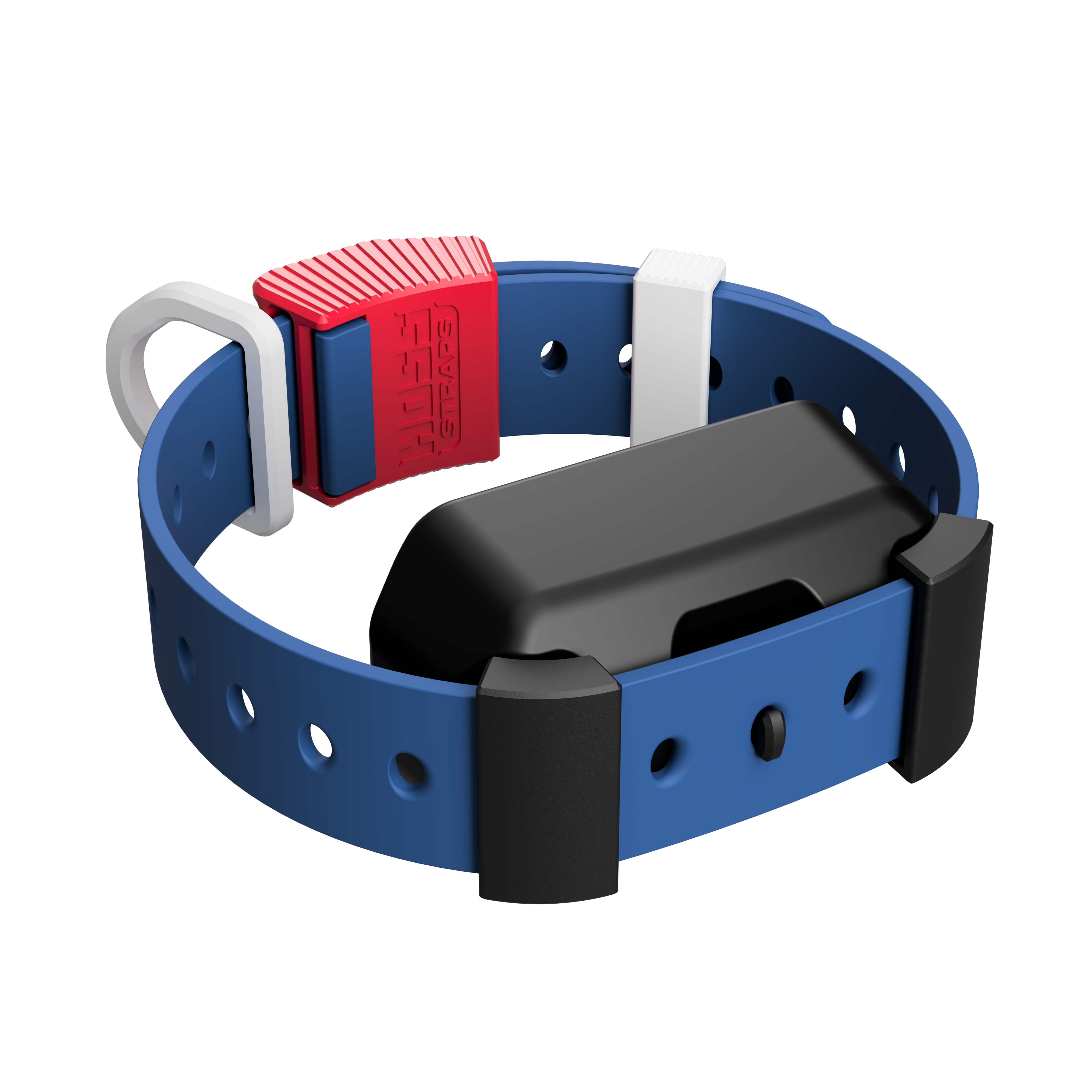 Training Collar Setup - Garmin